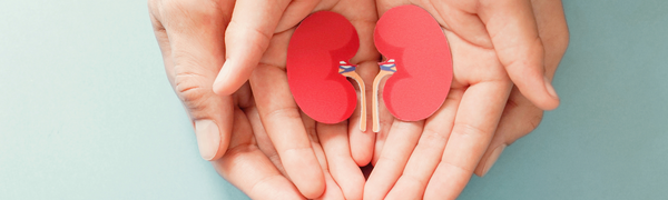 eGFR: Understanding Your Kidney Function and Results
