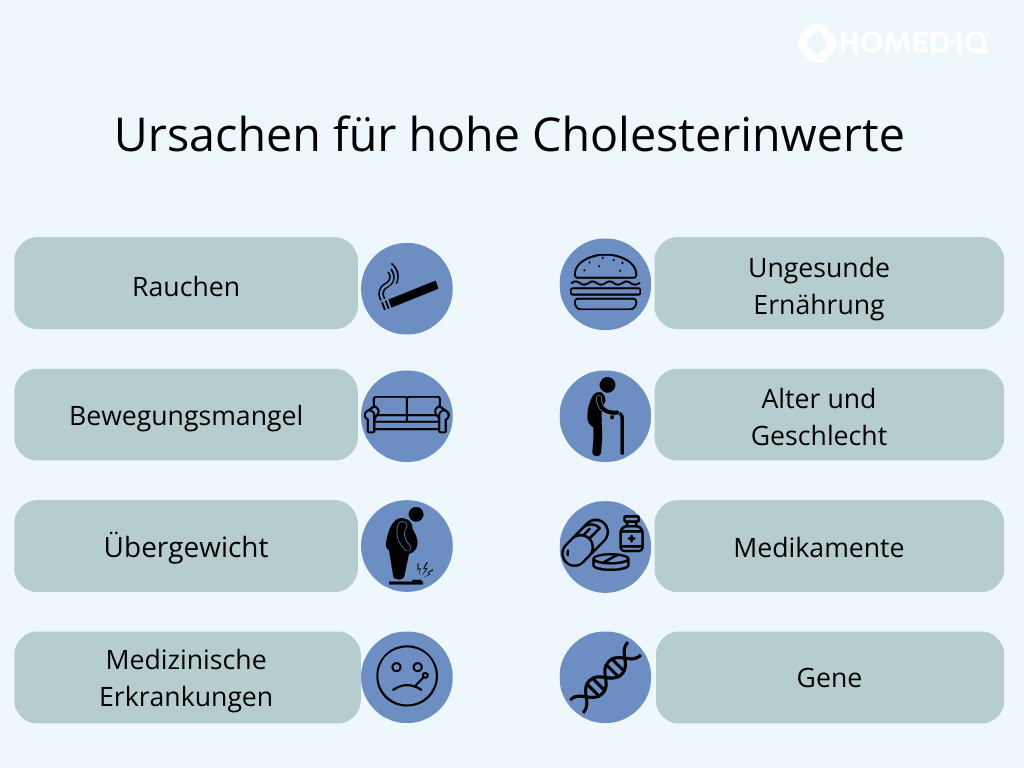 Cholesterin – erhöhte Werte jetzt in den Griff bekommen