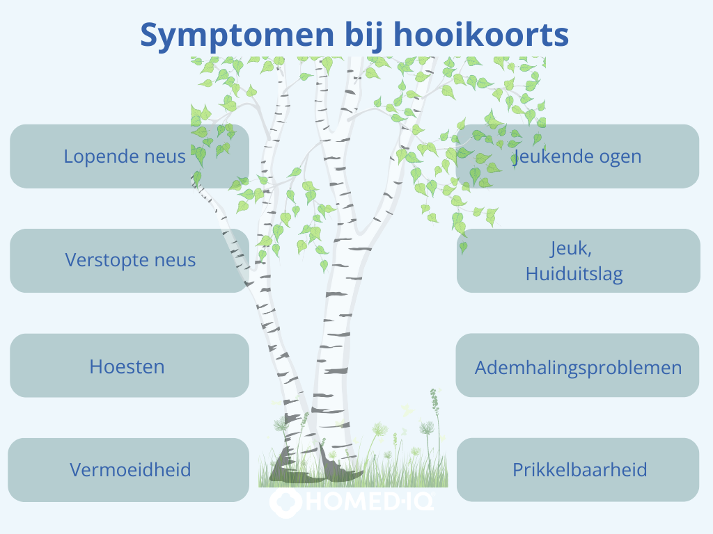 Symptomen bij hooikoorts