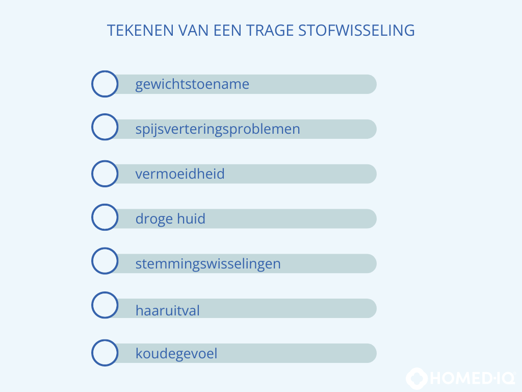 Hoe krijg ik mijn stofwisseling snel op gang? - Homed-IQ