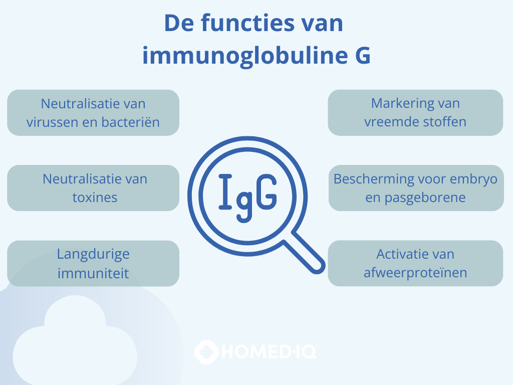 Immunoglobuline G