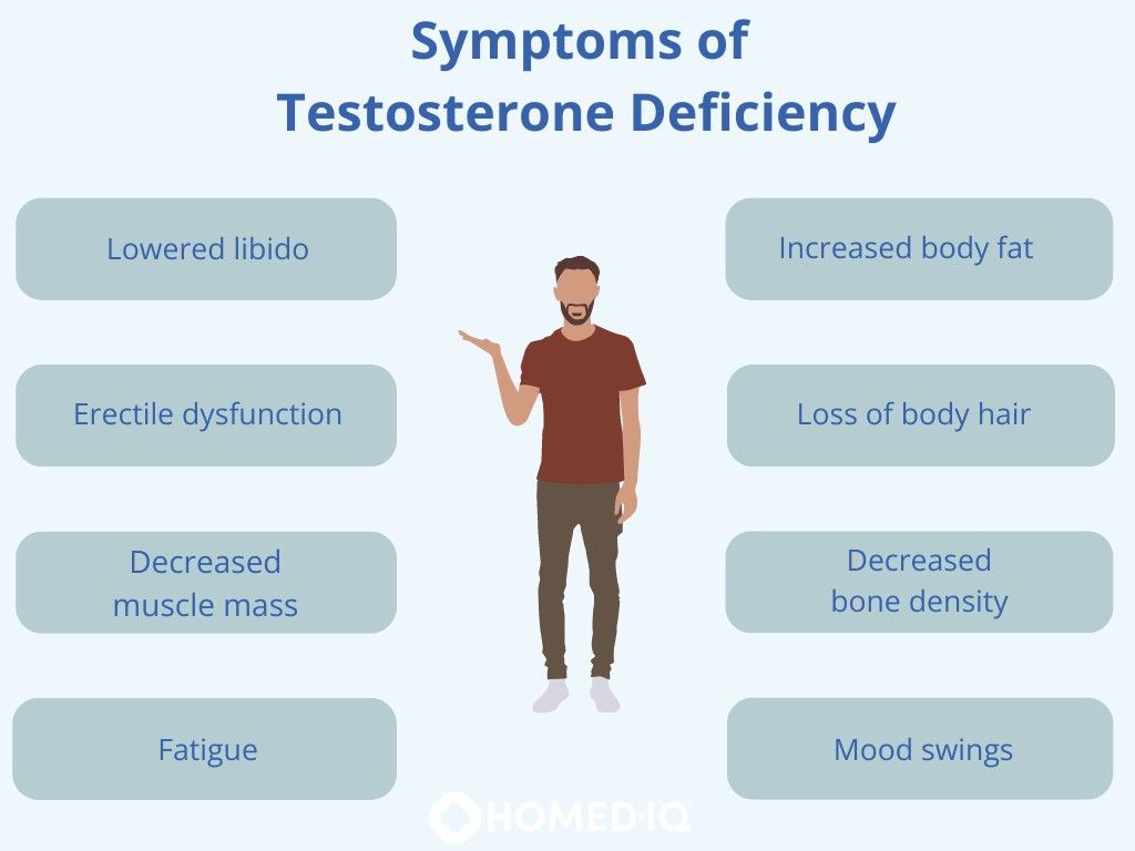 Testosterone: How to maintain a healthy testosterone level - Homed-IQ