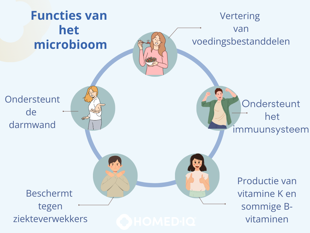 Dysbiose: hoe een gezond microbioom je kan beschermen