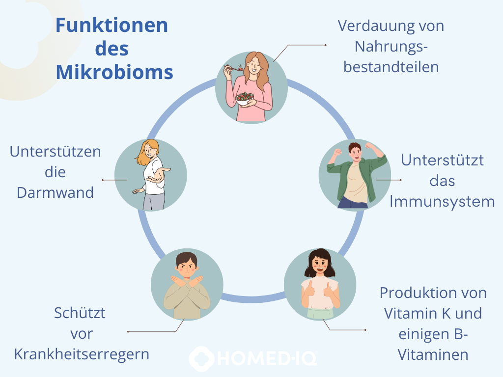 Dysbiose: Wie ein gesundes Mikrobiom Sie schützen kann