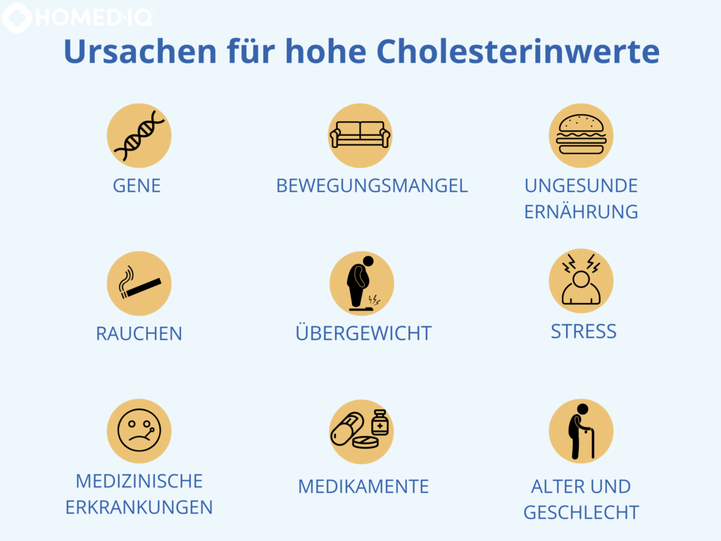 Ursachen für hohe Cholesterinwerte