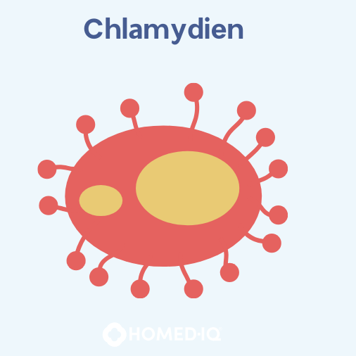 Chlamydien VS Gonorrhoe