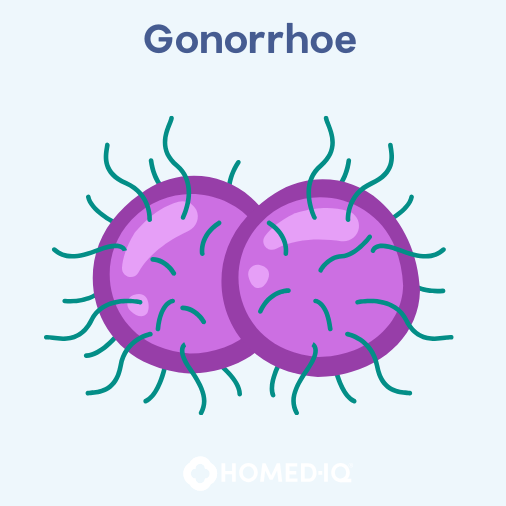 Chlamydien VS Gonorrhoe