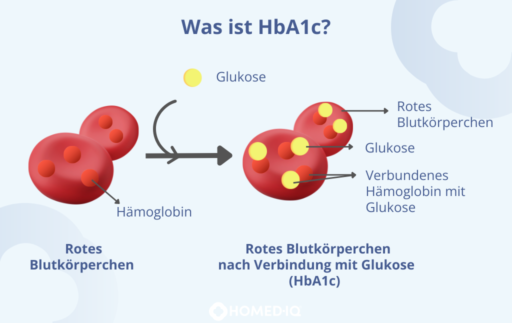 Was ist Langzeitzucker / HbA1c?