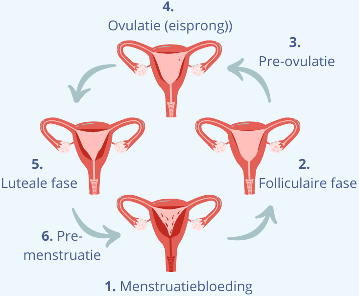 Alles over afscheiding voor de menstruatie - Homed-IQ