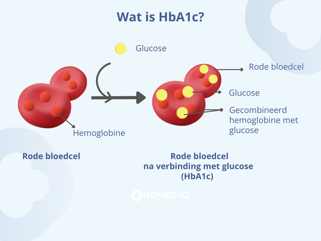 Wat is Langetermijnsuiker / HbA1c?