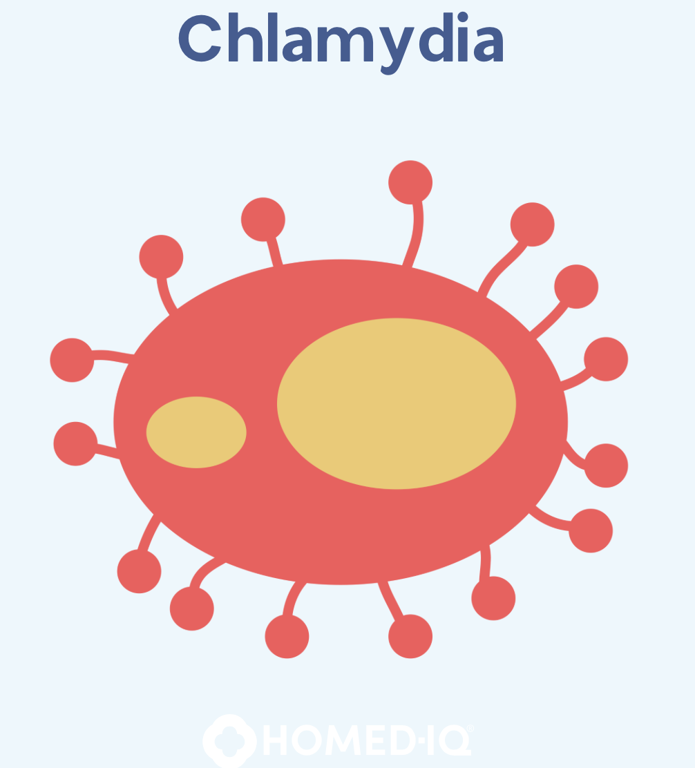 Chlamydien VS Gonorroe