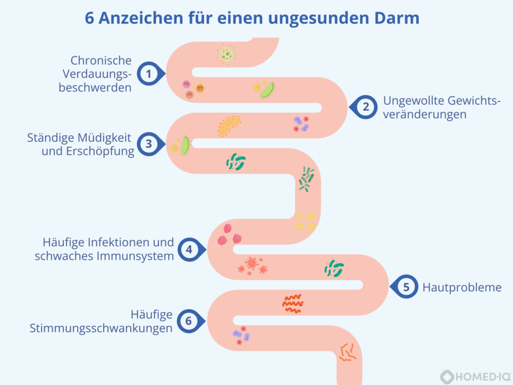 Alarm im Darm? Warnsignale eines ungesunden Darms – und wie du ihn stärkst - Homed-IQ