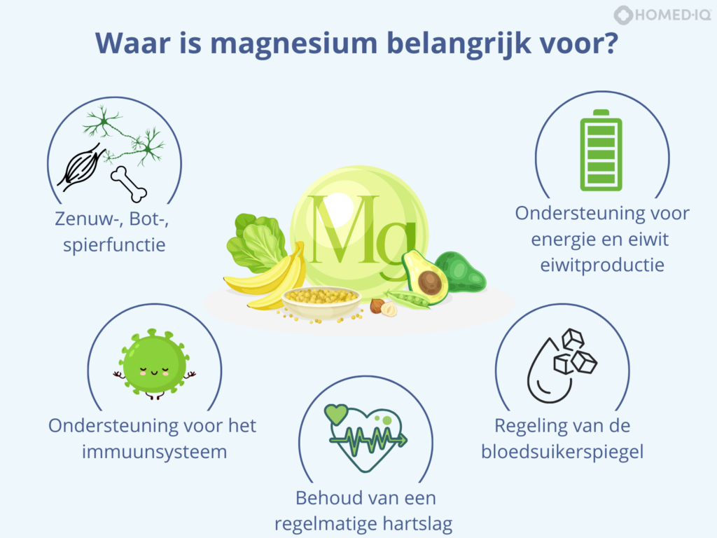 Vitamine D en magnesium: Waarom ze samen een krachtige combinatie zijn voor jouw gezondheid - Homed-IQ