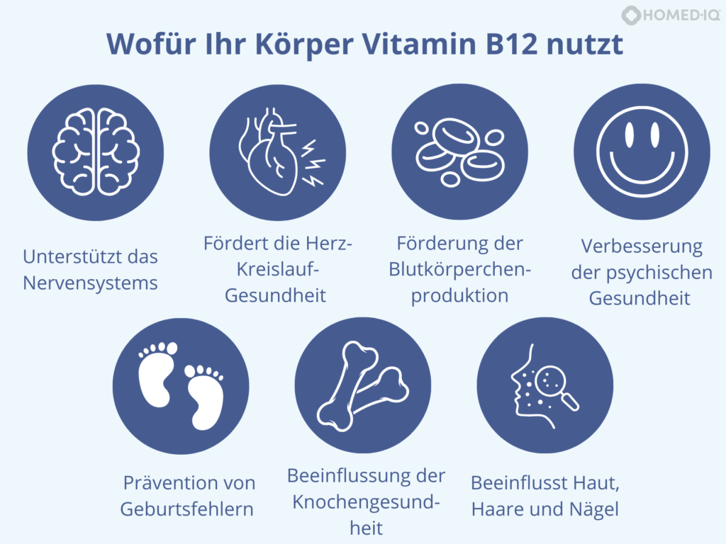 Welche gesundheitlichen Vorteile hat Vitamin B12? – Was die Wissenschaft dazu sagt - Homed-IQ